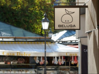 Photo: Beluga